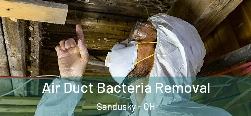 Air Duct Bacteria Removal Sandusky - OH
