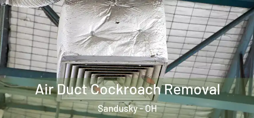 Air Duct Cockroach Removal Sandusky - OH