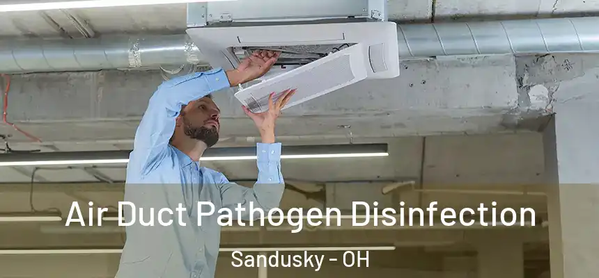 Air Duct Pathogen Disinfection Sandusky - OH