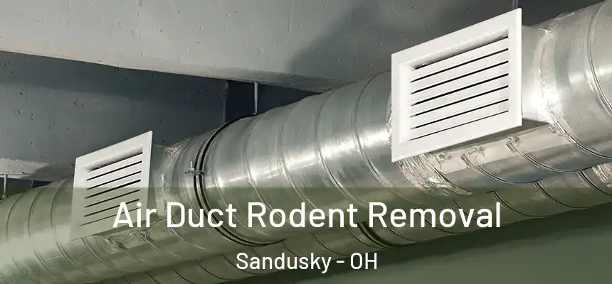 Air Duct Rodent Removal Sandusky - OH