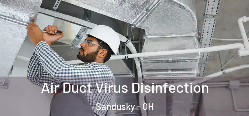 Air Duct Virus Disinfection Sandusky - OH