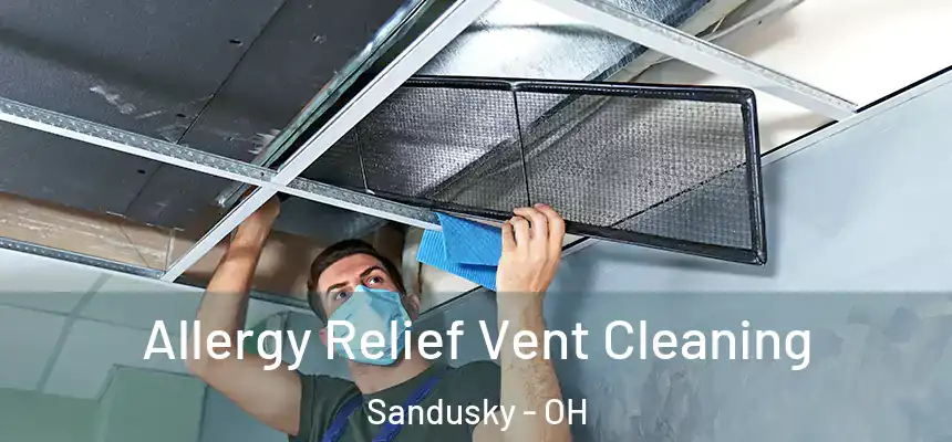 Allergy Relief Vent Cleaning Sandusky - OH
