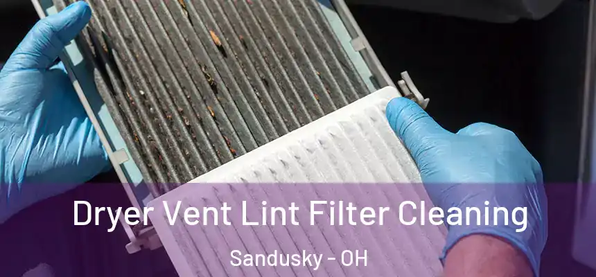  Dryer Vent Lint Filter Cleaning Sandusky - OH