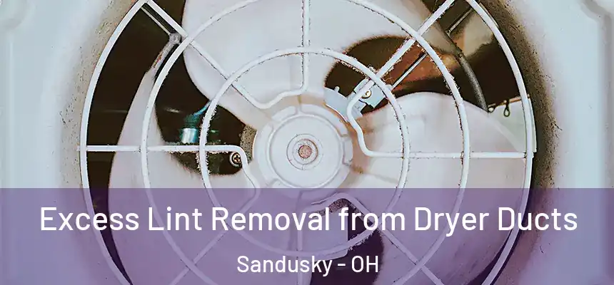  Excess Lint Removal from Dryer Ducts Sandusky - OH