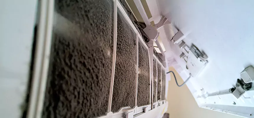 Preventive Air Duct Bacteria Removal in Sandusky