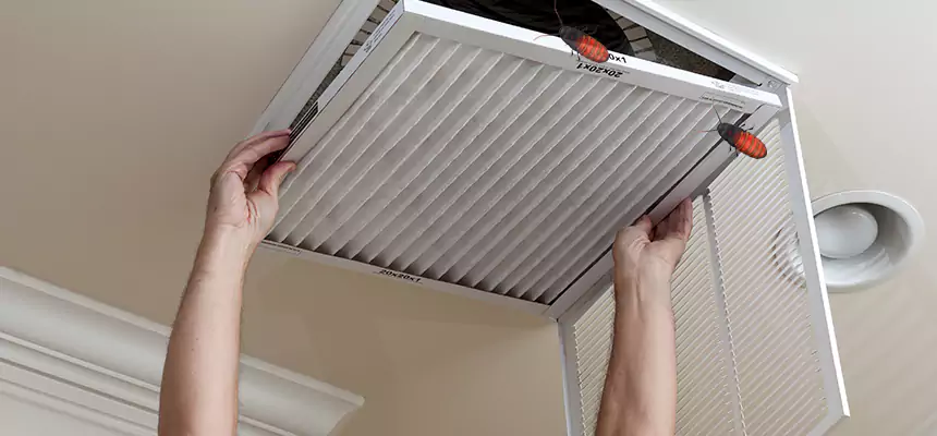 Preventive Cockroach-Proofing for Ducts in Sandusky