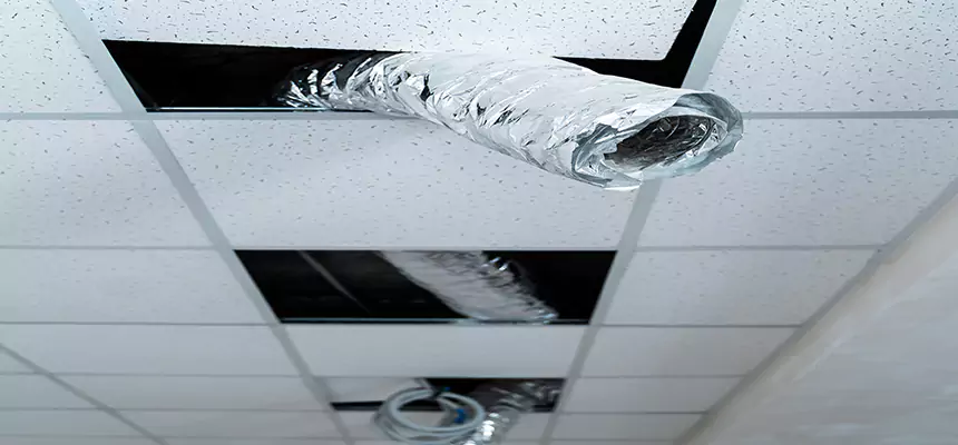 Our Air Duct Pet Hair Removal Services in Sandusky, OH