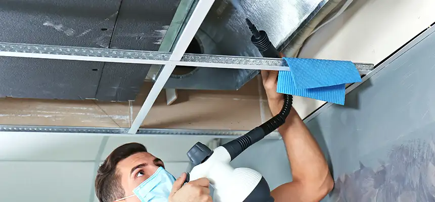 Our Air Duct Rodent Removal Services in Sandusky, OH