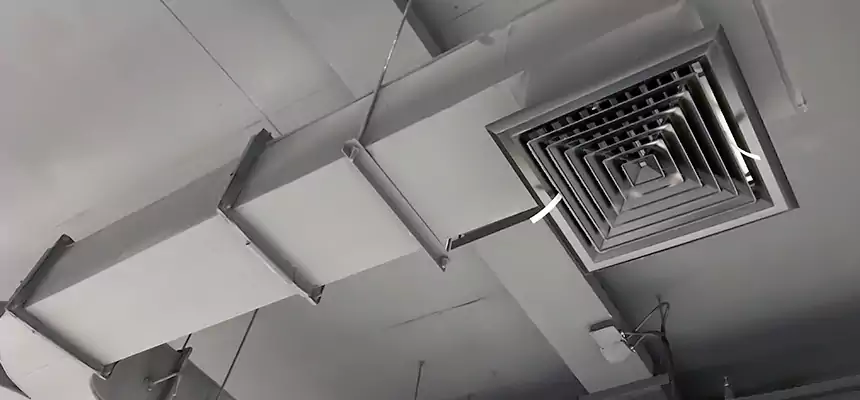 Restorative Allergy Relief Vent Cleaning – Coil, Blower & Housing Detail in Sandusky