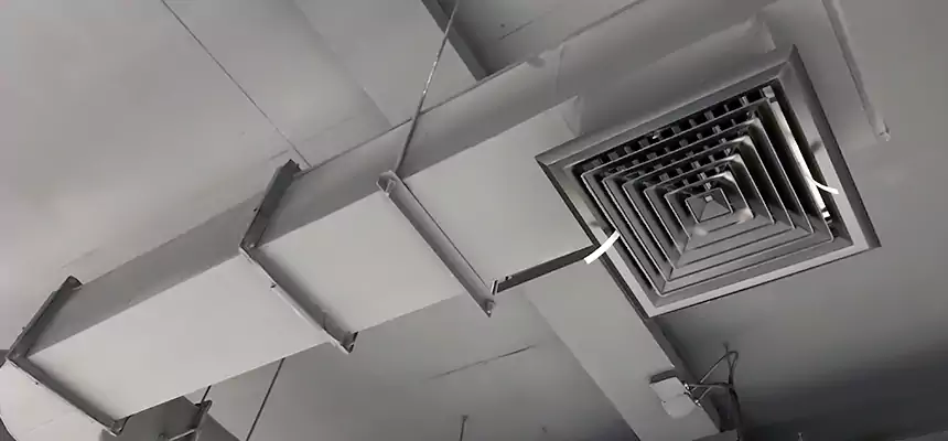 Our Pest Removal From Ducts Services in Sandusky, OH