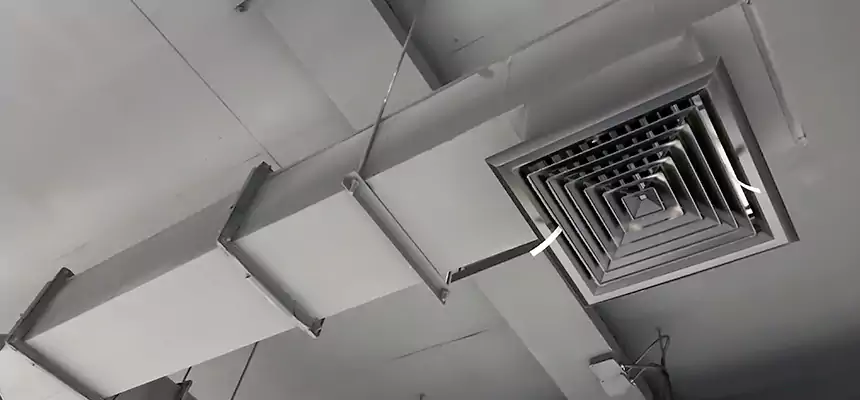 Our Rodent Droppings In Vents Services in Sandusky, OH