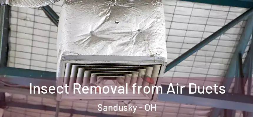 Insect Removal from Air Ducts Sandusky - OH
