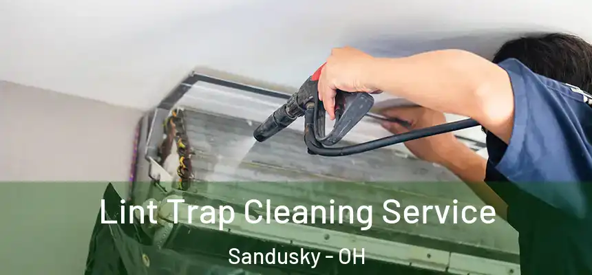 Lint Trap Cleaning Service Sandusky - OH