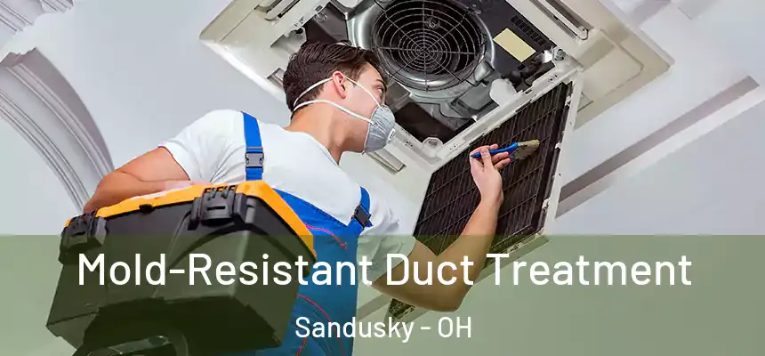 Mold-Resistant Duct Treatment Sandusky - OH