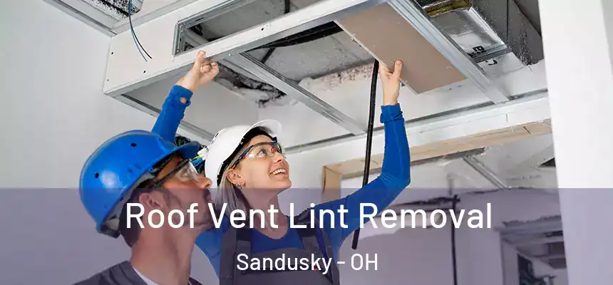  Roof Vent Lint Removal Sandusky - OH