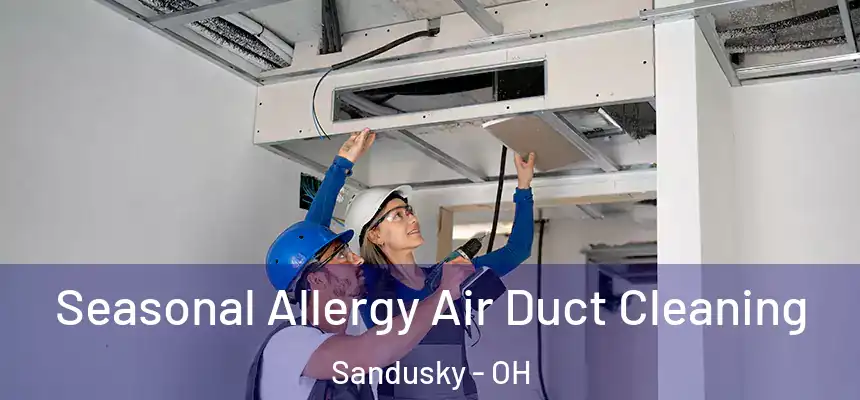  Seasonal Allergy Air Duct Cleaning Sandusky - OH