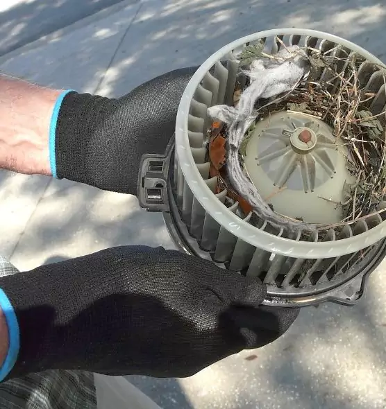 About Air Duct Mice Removal in Sandusky, OH