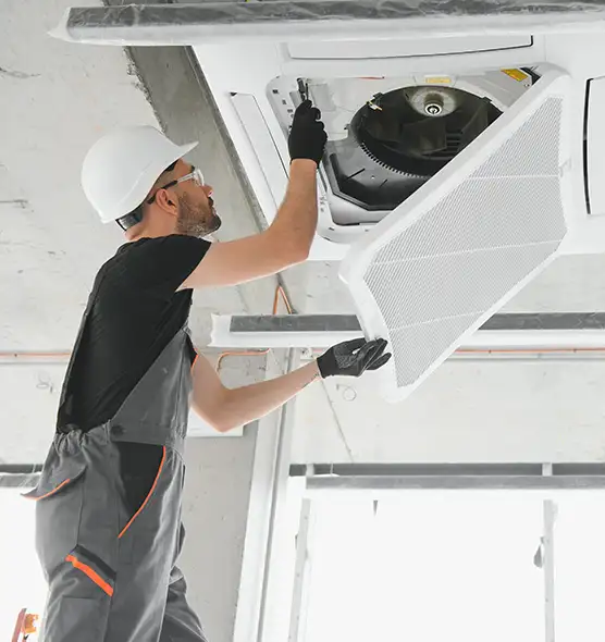 About Air Duct Rodent Removal in Sandusky, OH