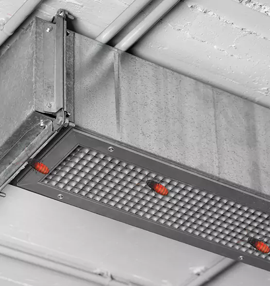 Affordable Insect Removal from Air Ducts in Sandusky, OH