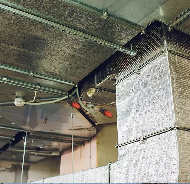 Why Homeowners & Businesses Trust Us in Sandusky, OH?