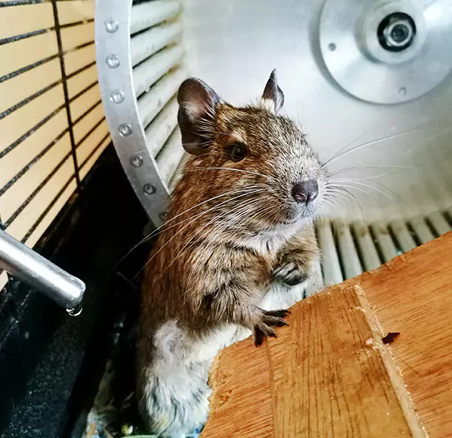 Why Homeowners & Businesses Trust Us Sandusky, OH